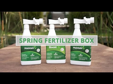 How to Fertilize Your Lawn in the Spring