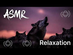 4 Hour Wolf Howling Loop – Relaxing Nature Sounds for Sleep & Focus