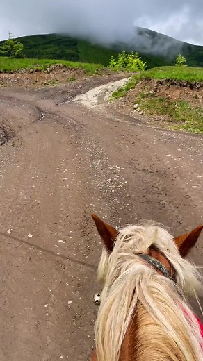 🐴 horse riding #драгобрат