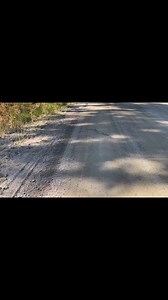 10K views · 313 reactions | Wait to hear the rattle! I had no idea there were Rattlesnakes this big around here. We came across this Western Rattlesnake not too far from Penticton, British Columbia yesterday. Their venom isn’t as deadly as the rattlesnakes in the American Southwest and they are protected and rare here in the arid Okanagan Valley. So, seeing one this size is a big deal. | Jim Baird - Adventurer | Facebook
