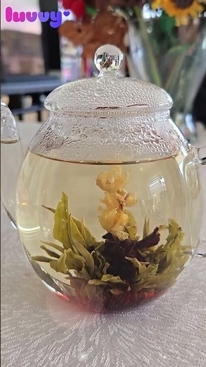 Watch It Bloom: A Tiny Tea Ritual 🌸✨