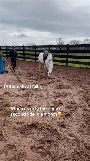 Funny Horse Fails & Commentary
