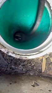 Mowery on Reels