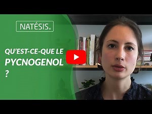 Qu'est-ce que le Pycnogenol ?