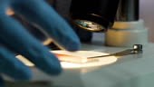 Scientist takes away used blood sample from microscope, medicine test...