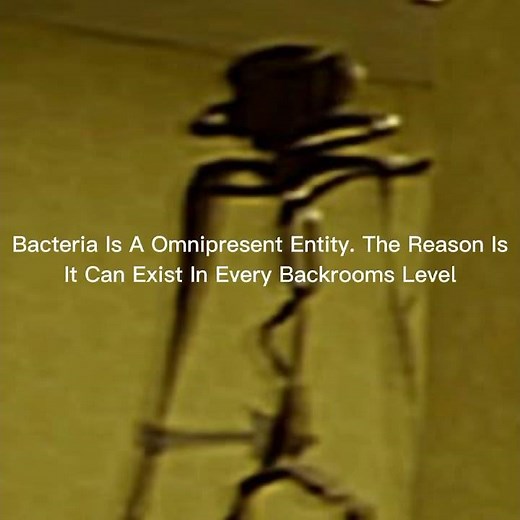 Explaining Backrooms Entity 1 (Bacteria)