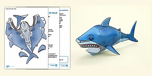 Shark 3D Craft