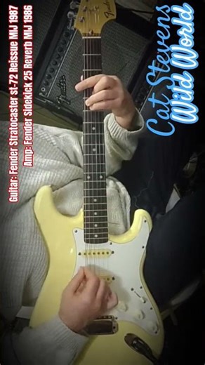 Cat Stevens - Wild World | Fender Stratocaster '87 MIJ 🇯🇵 (Cover)