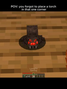Minecraft Player Forgets Torch, Chaos Ensues