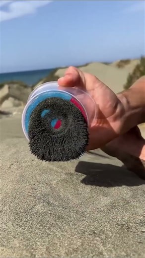 Iron in Sand? #viral #ytshorts #virelvideo #shorts #sand #iron