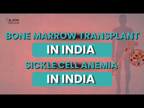 Bone Marrow Transplant Explained | Procedure, Recovery & Success Rate (2025 Guide)