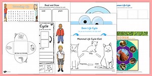 Life Cycles Activity Pack