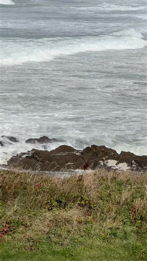 🚩 Red flag at Fistral Beach today due to a sewage spill. Watch to the end! 👀 How does this make you feel? @SouthWestWater @SurfersAgainstSewage When will this end? What's the plan? | Hello Cornwall
