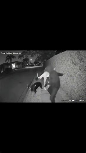 “NYC 3AM CCTV: 128 lb Rottweiler Sends Knife Robber Running for His Life” 🐕‍🦺🌃😱