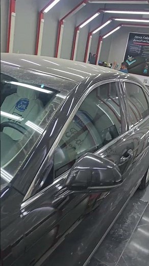 Do THIS Before You Touch A Car Polisher! (Full Body Inspection Guide)