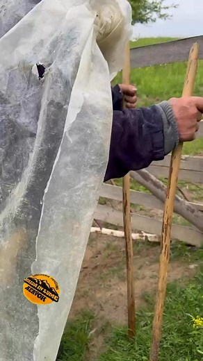 Vine ploaia 🙌 | Haidainlume