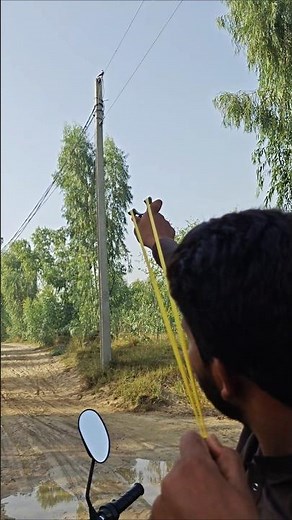 Slingshot wild birds hunting