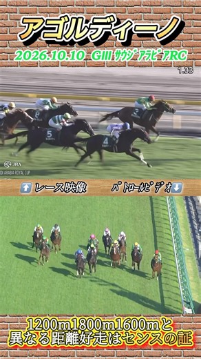 【サウジアラビアRC】全3戦全て異なる距離のアゴルディーノ直線大外一気の差し切り✨ #競馬 #サウジアラビアRC #アゴルディーノ #横山和生 #shorts