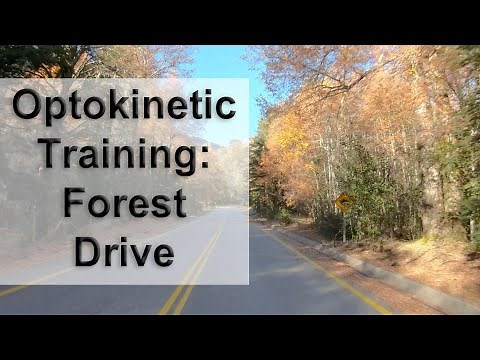 Optokinetic Training - Forest Drive (Including Switchbacks)