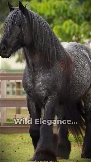 Beautiful Horses from Around the World 🐎✨