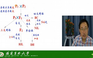 基因的表达与调控-基因组学-遗传图谱的构建-茶创2021级