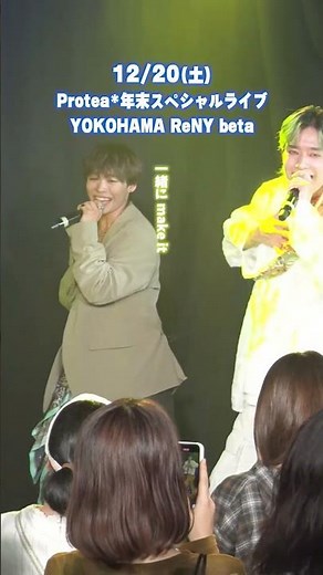 Protea* 『Shining Star』