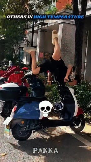 The Turtle Had Super Speed 💀 | #Shorts #Viral #Edit #Meme #Funny #Trending