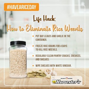 Do you see rice weevils crawling into your pantry and cupboards? Follow these simple measures to keep your favorite #SunnywoodRice bug-free so you can always #HaveARiceDay!​ Check out for more Kitchen Hacks: https://bit.ly/3A8X0XV | Harvester's Rice