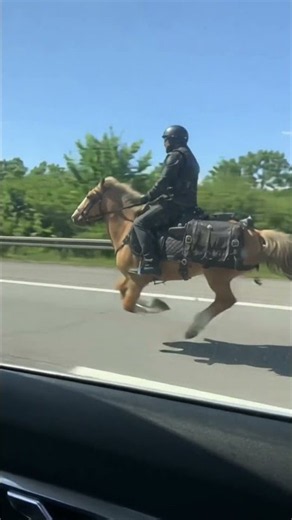 Hell's Horses auf der Autobahn! #fy #hobbyhorsing #autobahn #deutsch #partymusik