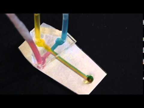 Laminar Flow in Paper Microfluidic Device
