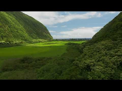 Relaxing 4K Mac Screensaver | Kaua‘i (240fps UHD)