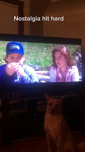 Free Willy 2#90skids #movieclips #millennial