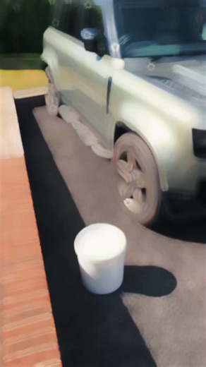 Defender 110 Car Detailing Tips