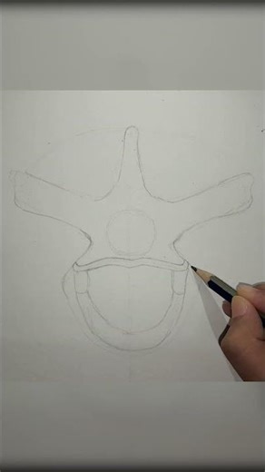 Draw Thoracic Vertebra||Tutorial