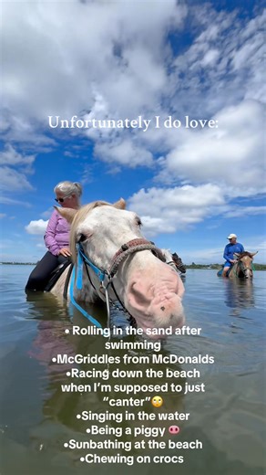 ✨Rowdy edition ✨ | Florida Beach Horses