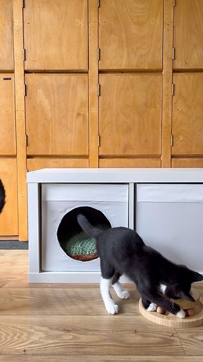 3.2M views · 8.6K reactions | The cutest IKEA HACK - turn an IKEA DRONA box into a cat house. Simply cut out a circle and fold the remaining fabric over for a neat finish. They do sell LUVRIG cat houses for $9.99 in the US, but they aren’t available in the UK, so this is a cheap and cheerful version Would you try this?  #ikeahack #cathouse #cathacks #catbed #catdiy | Grillo Designs Blog | Facebook