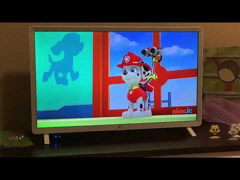 Paw Patrol Rocky gets wet #2