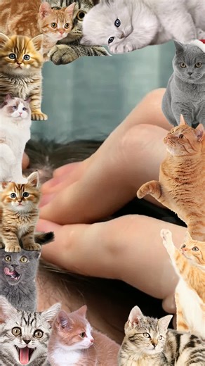 Skin cleansing & dispel acne #fyp #foryou #fypシ #pimple #satisfyingvideo #viral #skincare #skincare #ingrowntoenail #pedicure #2025