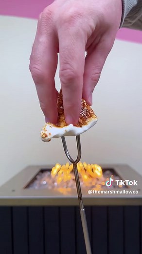 Roasting a Giant Marshmallow Multiple Times Challenge