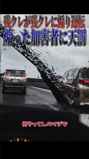 [Super refreshing] A new residual credit car driver tailgates an older residual credit car driver...