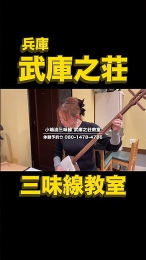 武庫之荘三味線教室 #三味線 #三線の花