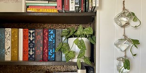 This Easy DIY Makes the World’s Cutest Plant Propagator