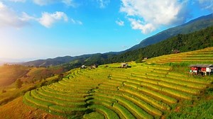 clip-1096373033-aerial-video-drones-flying-over-rice-terraces