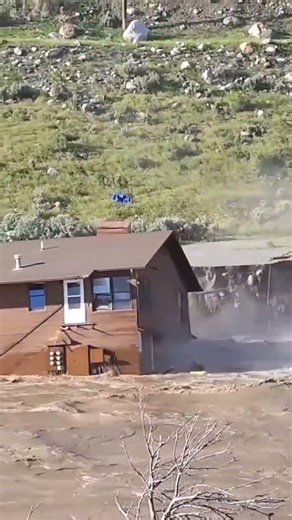 Disaster Caught on Camera 📸 #flood