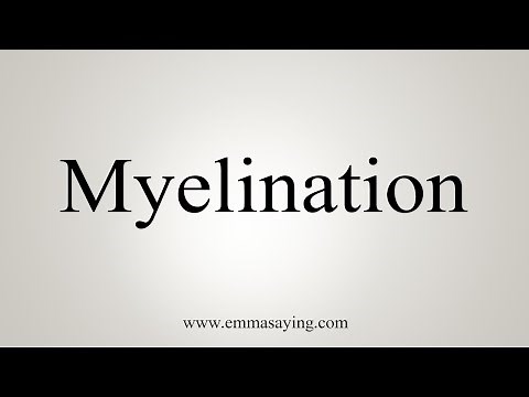 How To Say Myelination