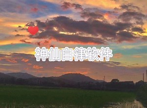 神仙自律软件——costudy