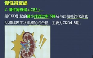 慢性肾衰竭（CRF）lc思维