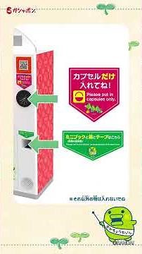 Gashapon Sustainable Action ~Capsule Recycling Promotion Month~