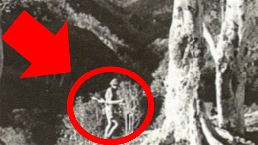 How Did These WW2 Soldiers Barely Make It Out Alive?