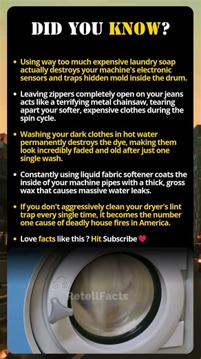 5 Expensive Mistakes Destroying Your Washing Machine